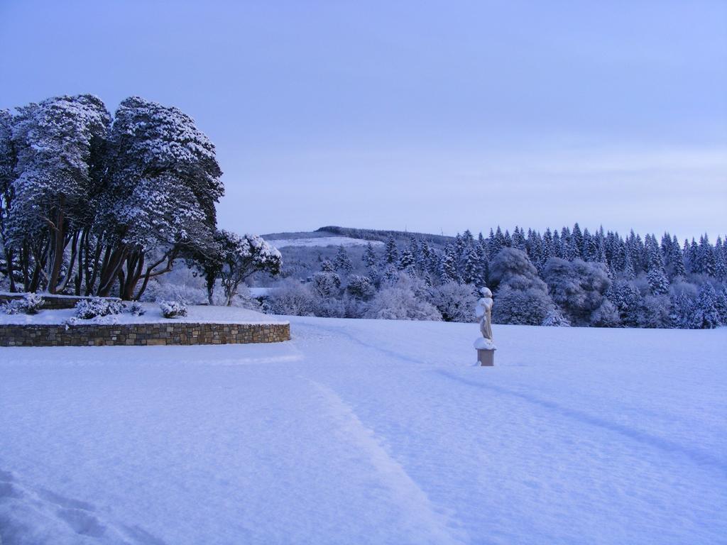 Kilronan Castle Hotel & Spa Ballyfarnon Экстерьер фото
